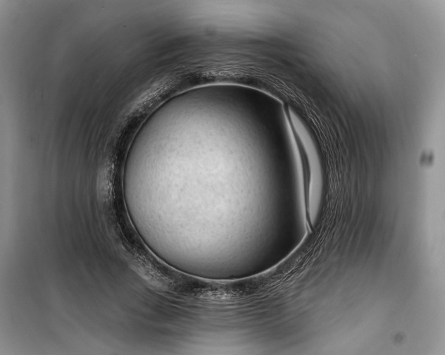 X0000100360735200806131014