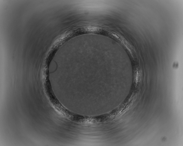 X0000100360736200806131014