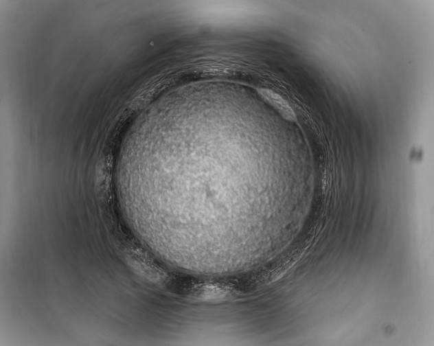 X0000100360737200806131014