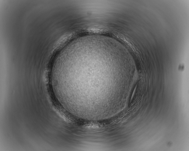 X0000100360738200806131014