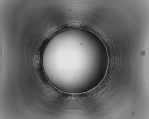 X0000100360739200806131014