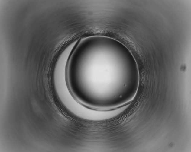 X0000100360740200806131014