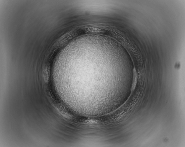 X0000100360741200806131014