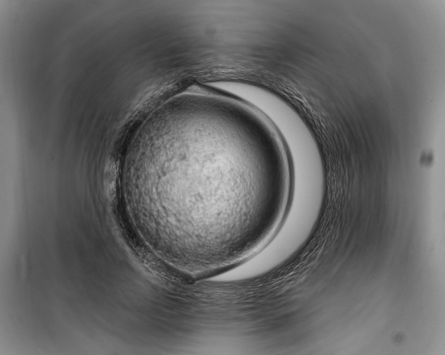 X0000100360742200806131014