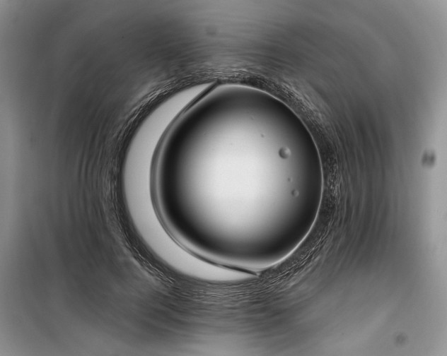 X0000100360744200806131014