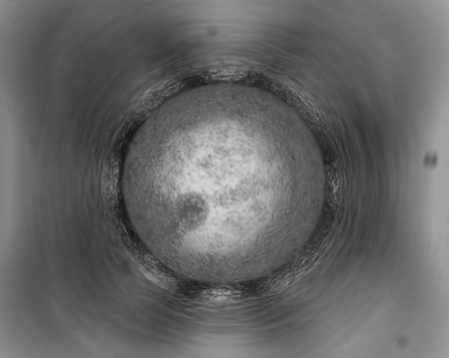 X0000100360745200806131014