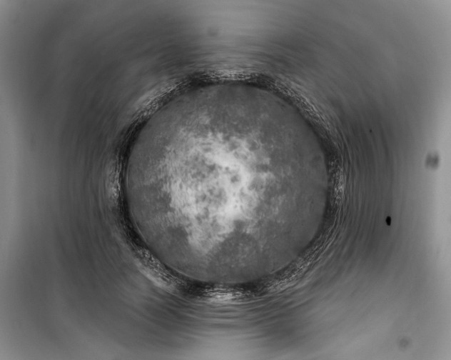 X0000100360746200806131014