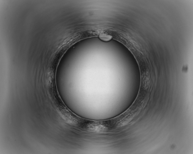 X0000100360747200806131014