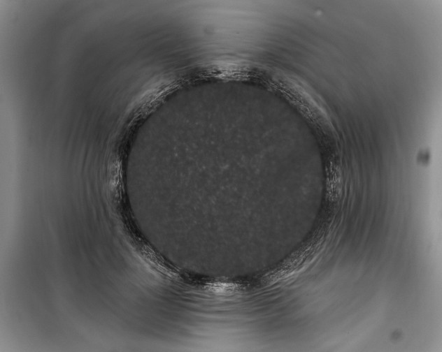 X0000100360748200806131014