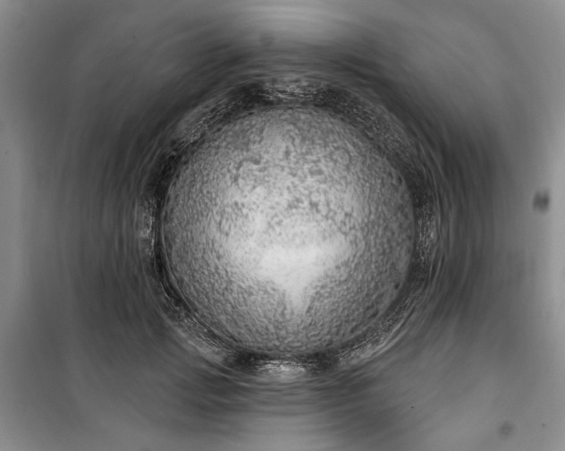 X0000100360749200806131015