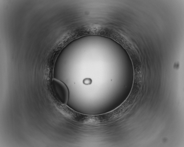 X0000100360750200806131015