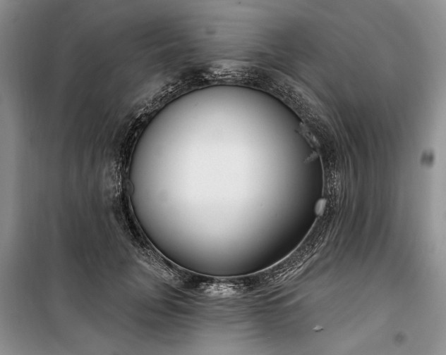 X0000100360751200806131015