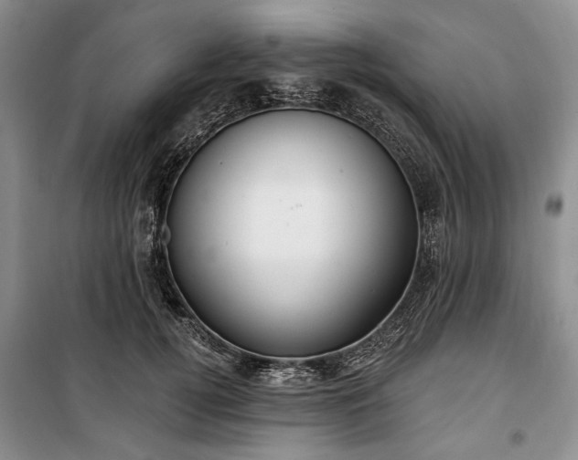 X0000100360752200806131015