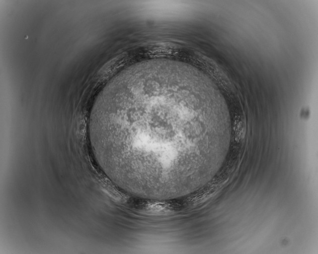 X0000100360753200806131015