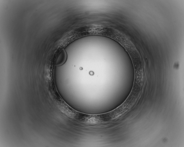 X0000100360755200806131015