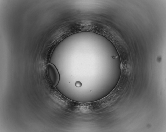 X0000100360756200806131015