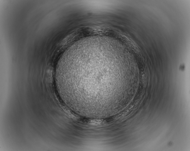 X0000100360757200806131015