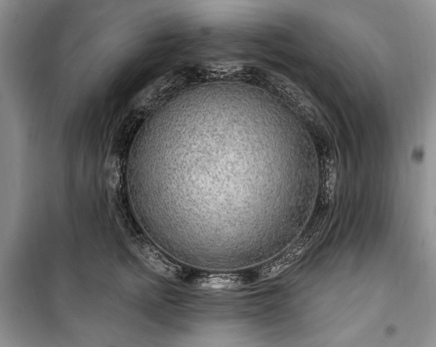 X0000100360758200806131015