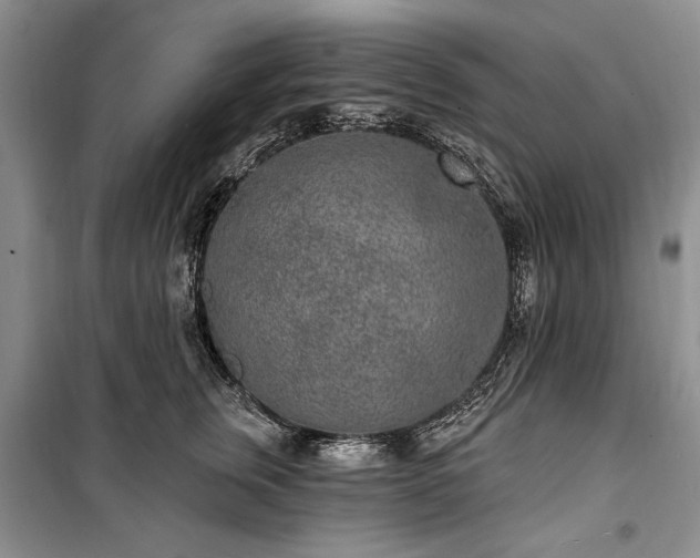 X0000100360759200806131015