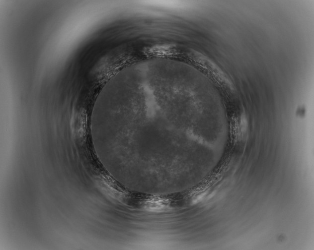 X0000100360760200806131015