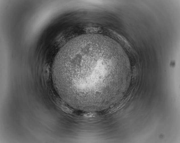 X0000100360761200806131015