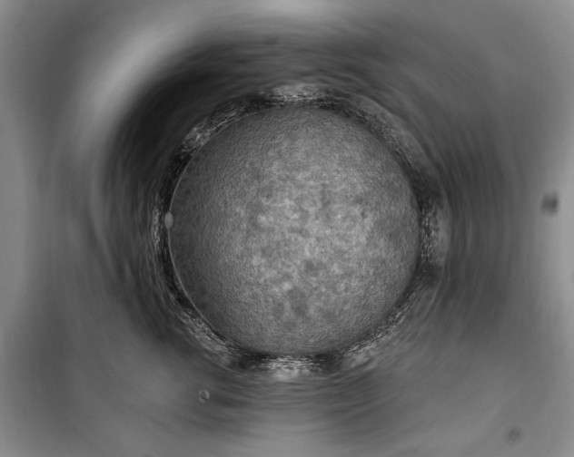 X0000100360762200806131015