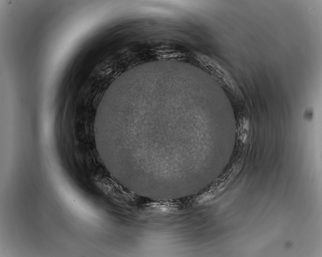 X0000100360763200806131015