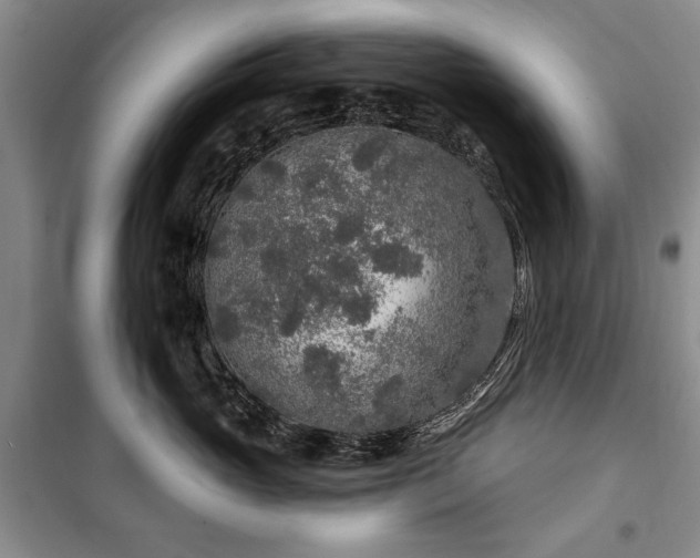 X0000100360765200806131015