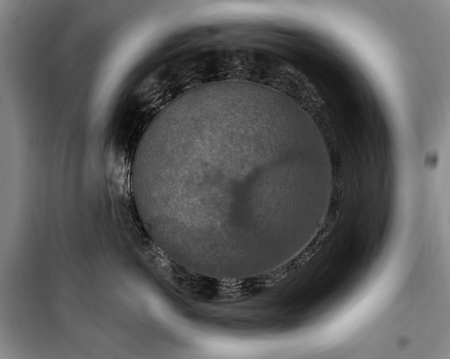 X0000100360766200806131015