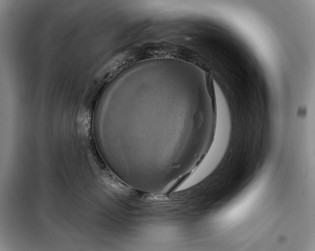 X0000100360767200806131015