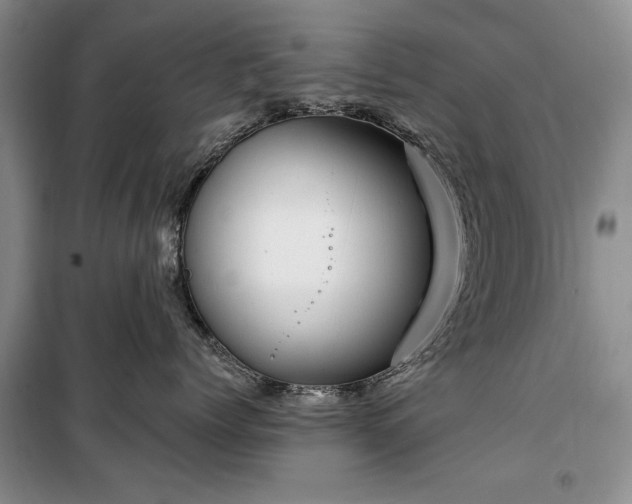 X0000100360768200806131015