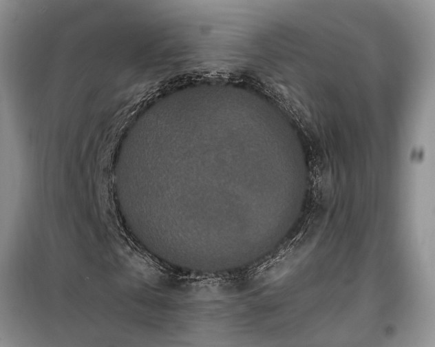 X0000100360769200806131014