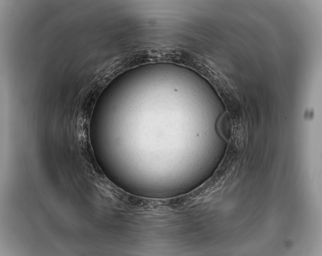 X0000100360770200806131014