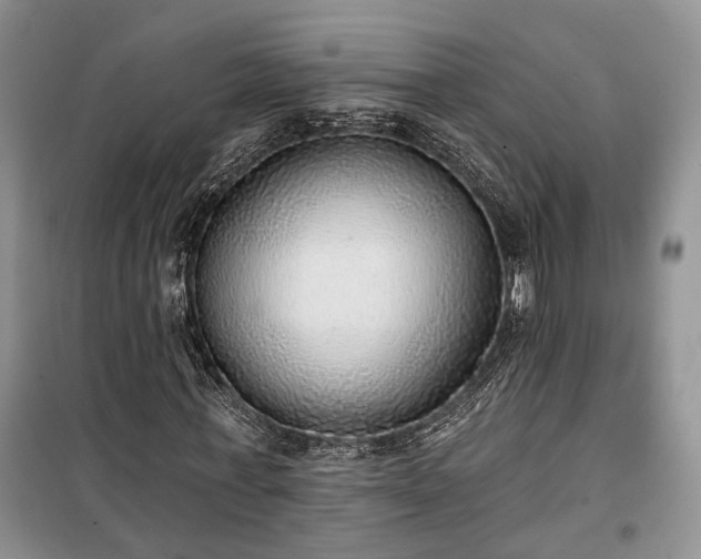 X0000100360771200806131014