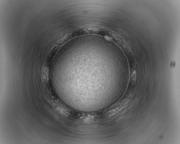 X0000100360772200806131014