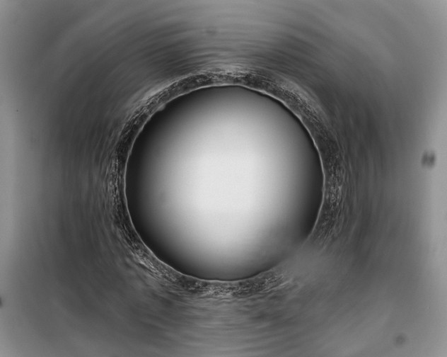 X0000100360773200806131014