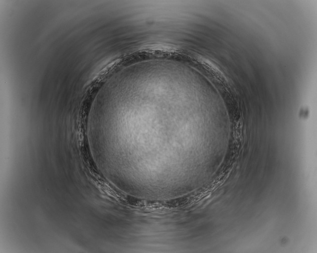 X0000100360774200806131014