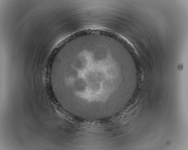 X0000100360775200806131014