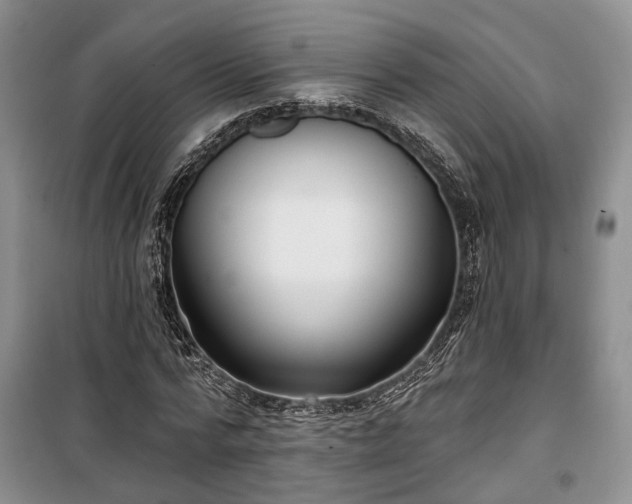 X0000100360776200806131014