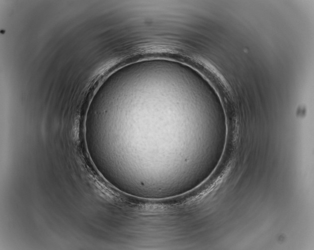 X0000100360777200806131014