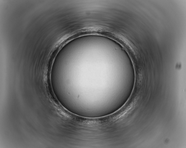 X0000100360778200806131014