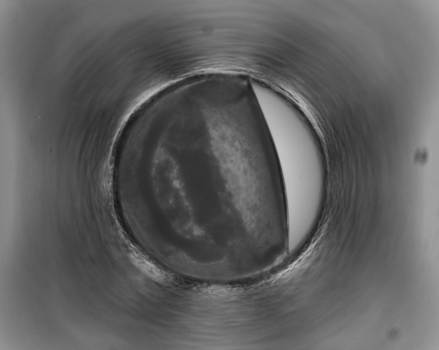 X0000100360779200806131014