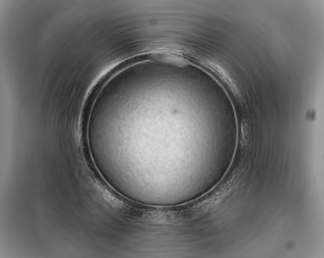 X0000100360780200806131014