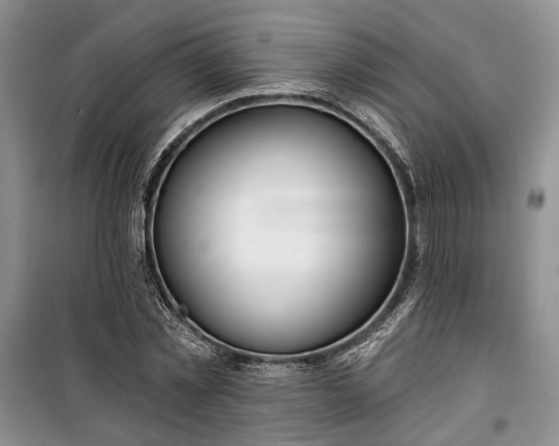 X0000100360781200806131014