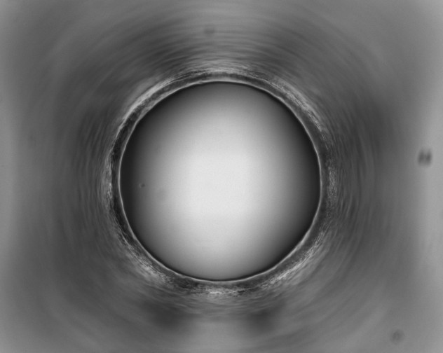 X0000100360782200806131014