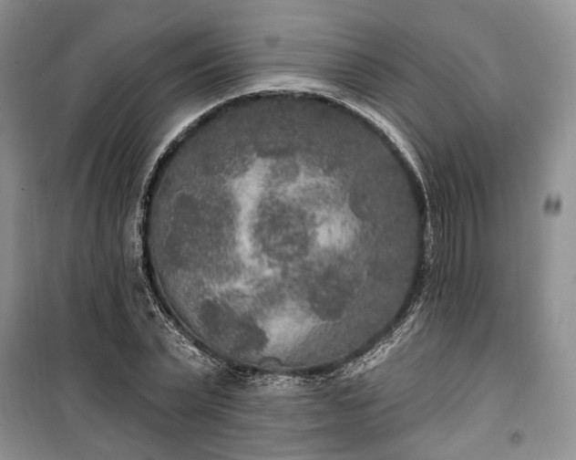 X0000100360783200806131014