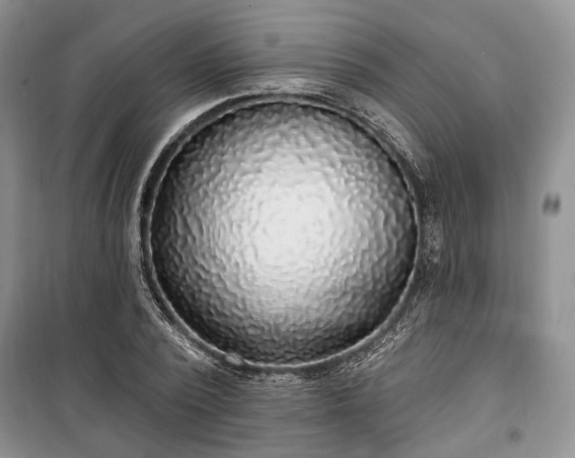 X0000100360784200806131014