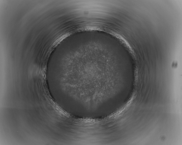 X0000100360785200806131014