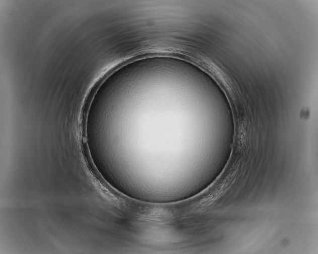 X0000100360787200806131014