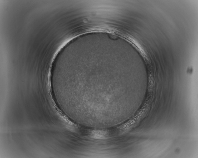 X0000100360788200806131014